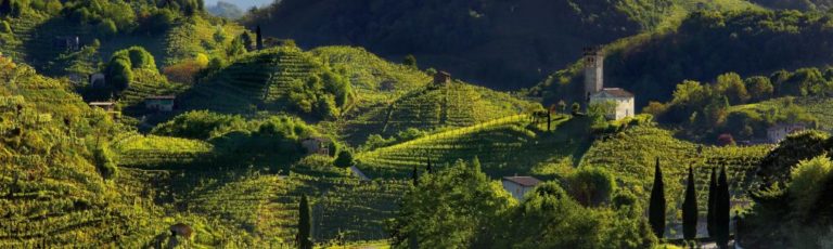 Copertina_sito-1024x306